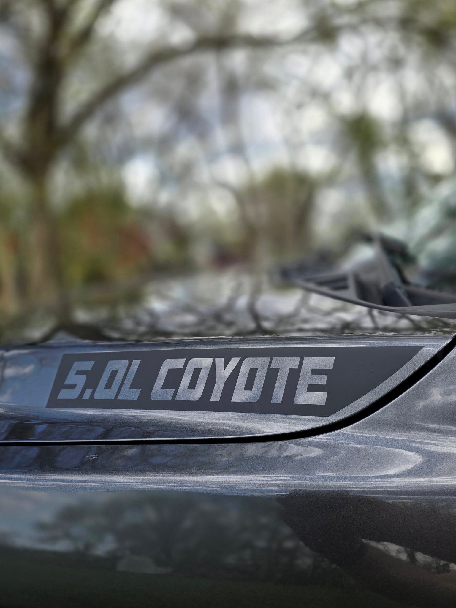 5.0L Coyote Hood Decal