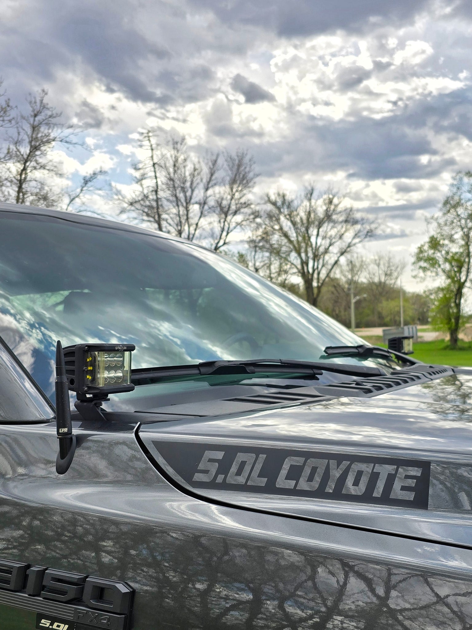 5.0L Coyote Hood Decal